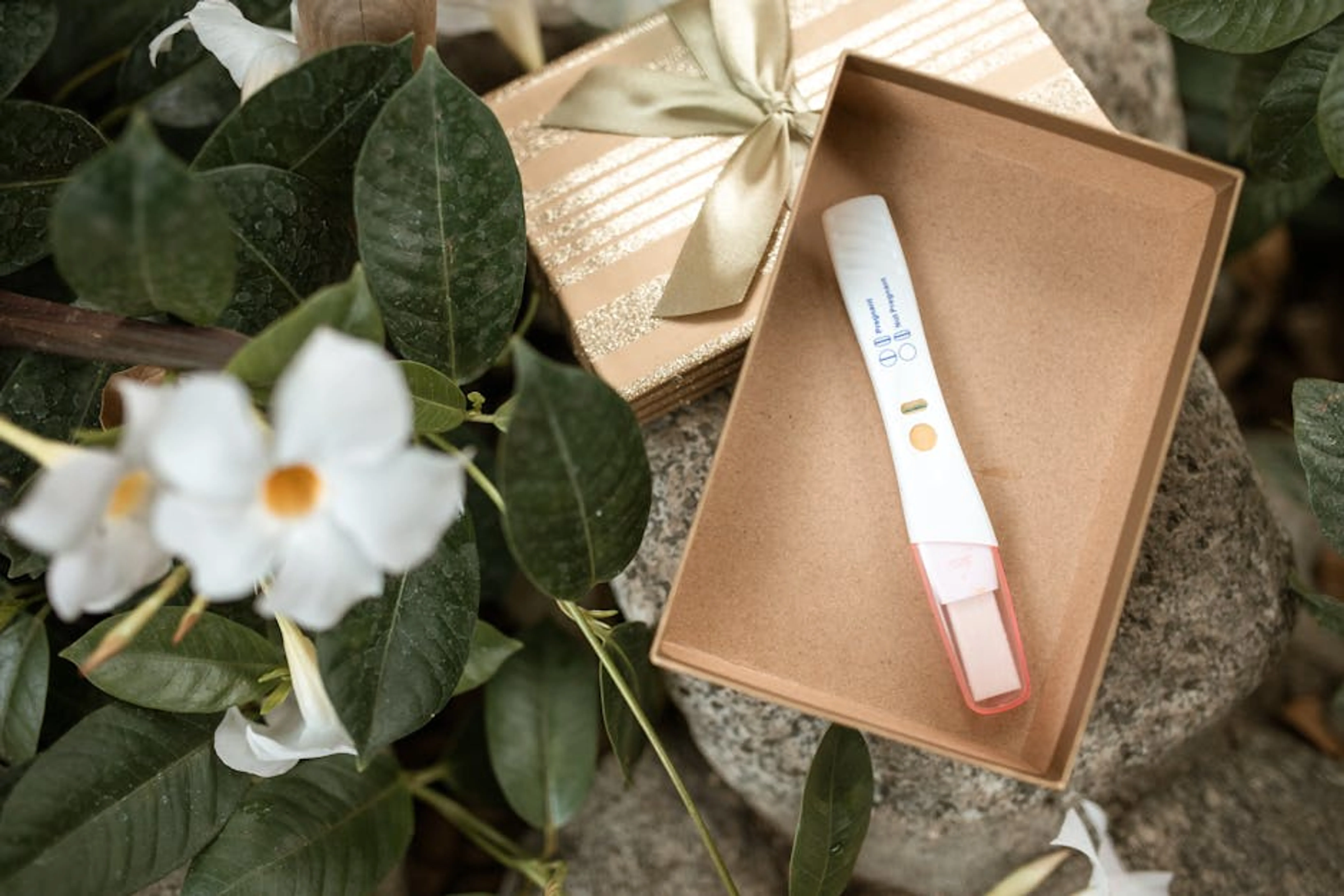 A pregnancy test in a decorative gift box surrounded by white flowers and green leaves. Gardener performing a soil squeeze test to determine soil type and health