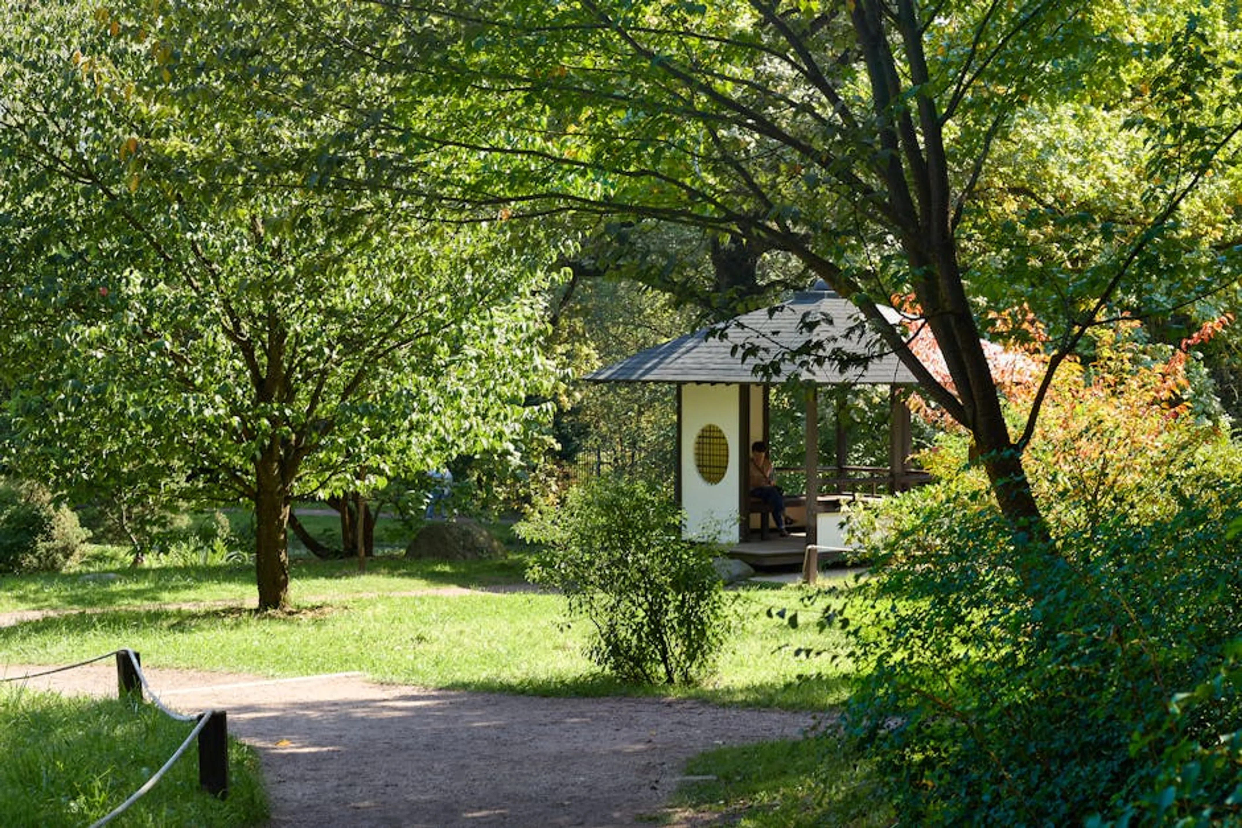 A tranquil forest garden with a gazebo surrounded by greenery, offering a peaceful retreat. A vibrant vegetable garden thriving in a sunny backyard location.
